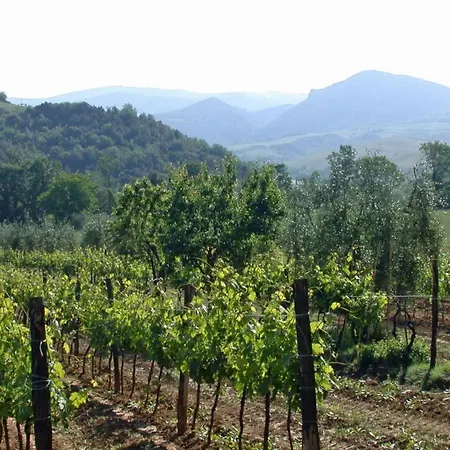 L'angolo By Interhome Apartment Volterra